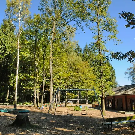 Le Renard - Oignies 50