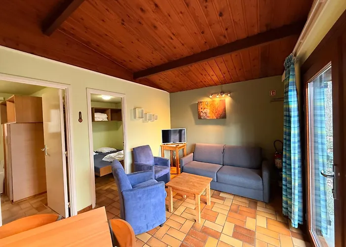 Le Renard - Oignies 50 *