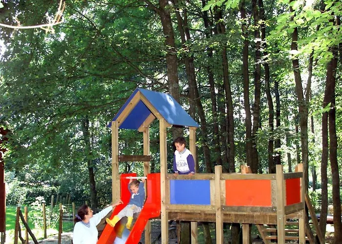 Le Renard - Oignies 50 Petit Mesnil