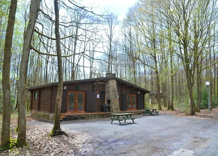 Le Renard - Oignies 50 * Petit Mesnil