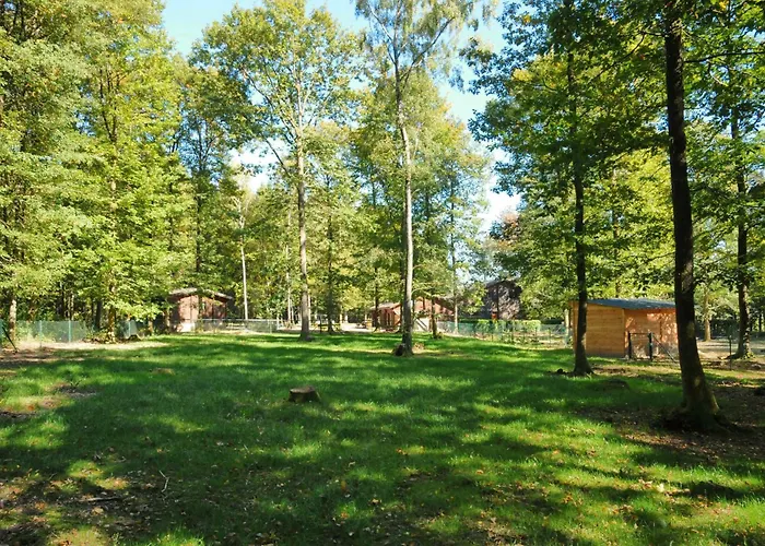 Le Renard - Oignies 50 Chalet Petit Mesnil